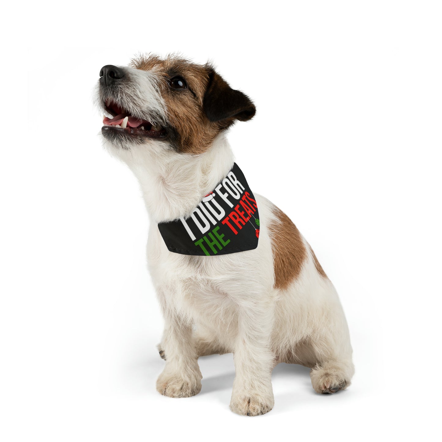 Pet Bandana Collar I did it for the treats (I Don’t Do Matching Christmas Outfits)